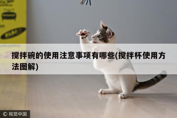 beat365：搅拌碗的使用注意事项有哪些(搅拌杯使用方法图解)