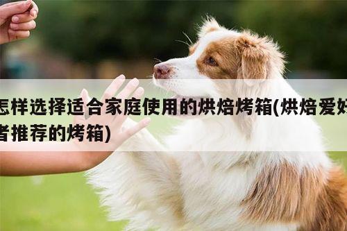 beat365官网登录-怎样选择适合家庭使用的烘焙烤箱(烘焙爱好者推荐的烤箱)