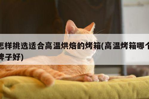 beat365平台：怎样挑选适合高温烘焙的烤箱(高温烤箱哪个牌子好)
