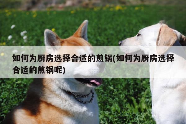 如何为厨房选择合适的煎锅(如何为厨房选择合适的煎锅呢)：beat365