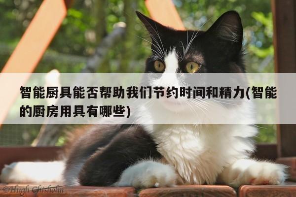 beat365平台-智能厨具能否帮助我们节约时间和精力(智能的厨房用具有哪些)
