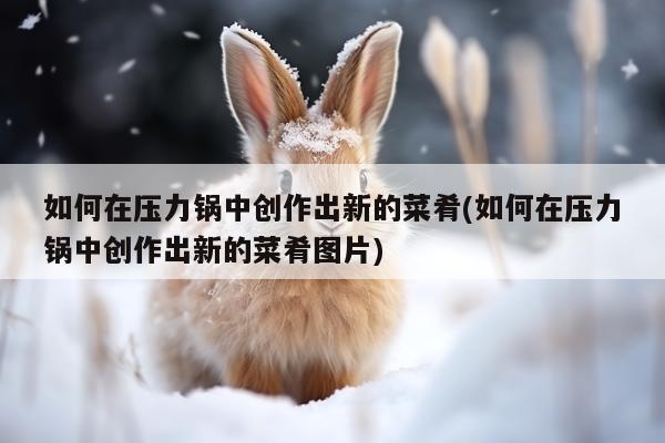 beat365官网登录-如何在压力锅中创作出新的菜肴(如何在压力锅中创作出新的菜肴图片)