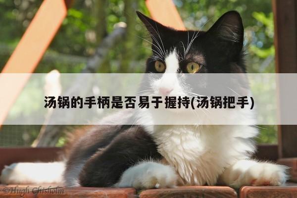 beat365官网登录：汤锅的手柄是否易于握持(汤锅把手)