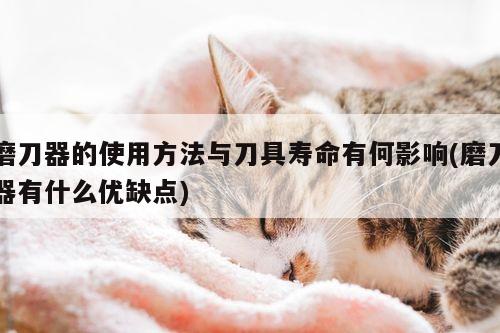 beat365官网登录|磨刀器的使用方法与刀具寿命有何影响(磨刀器有什么优缺点)