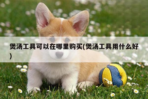 beat365平台|煲汤工具可以在哪里购买(煲汤工具用什么好)