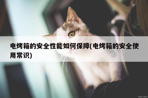 电烤箱的安全性能如何保障(电烤箱的安全使用常识)：beat365官网登录