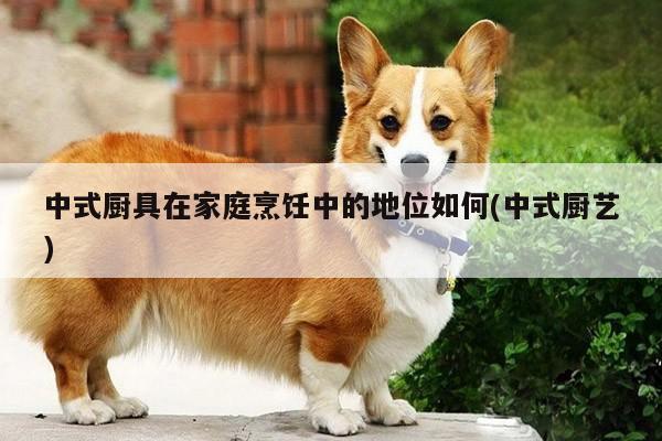 中式厨具在家庭烹饪中的地位如何(中式厨艺)：beat365平台