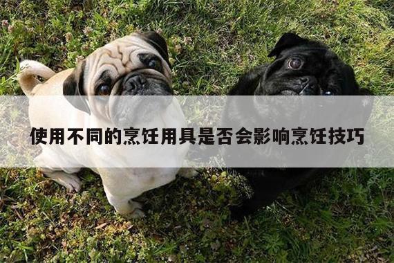 使用不同的烹饪用具是否会影响烹饪技巧【beat365在线体育】