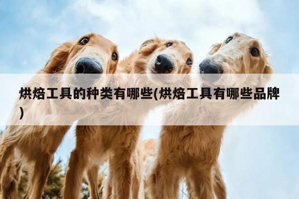 beat365官网登录-烘焙工具的种类有哪些(烘焙工具有哪些品牌)