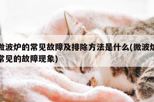beat365平台|微波炉的常见故障及排除方法是什么(微波炉