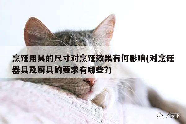 烹饪用具的尺寸对烹饪效果有何影响(对烹饪器具及厨具的要求有哪些?)|beat365平台