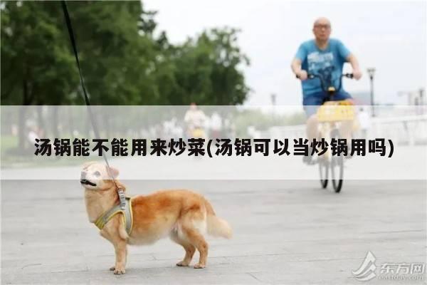 汤锅能不能用来炒菜(汤锅可以当炒锅用吗)【beat365平台】