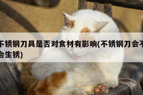 不锈钢刀具是否对食材有影响(不锈钢刀会不会生锈)【beat365在线体育】