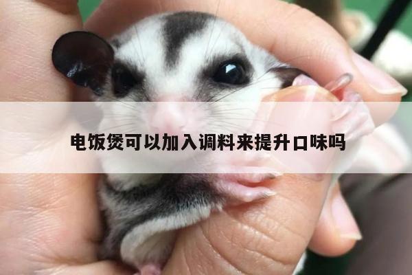 beat365在线体育：电饭煲可以加入调料来提升口味吗