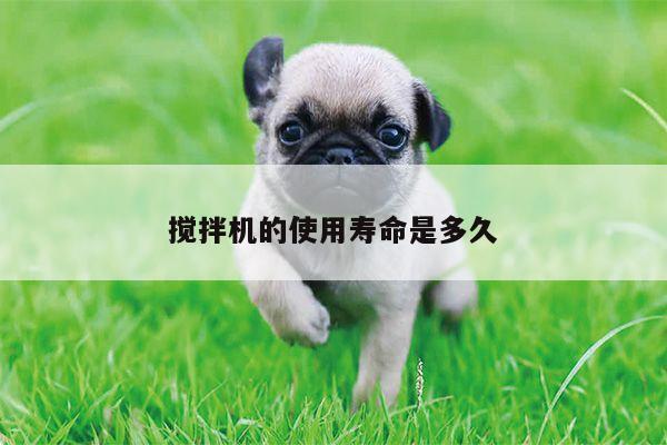 beat365平台-搅拌机的使用寿命是多久