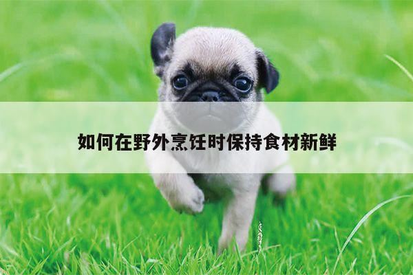 如何在野外烹饪时保持食材新鲜|beat365平台
