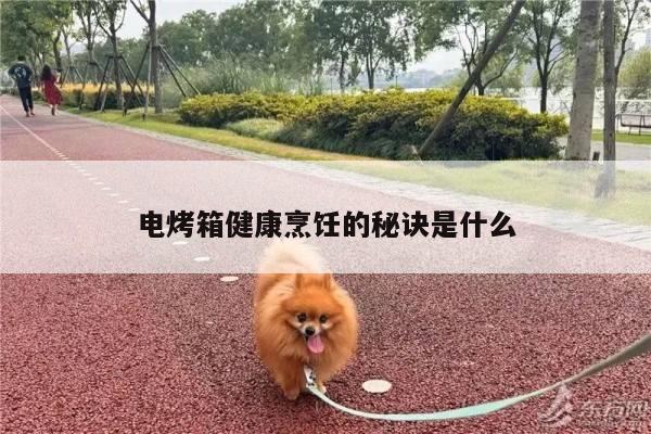 电烤箱健康烹饪的秘诀是什么|beat365平台