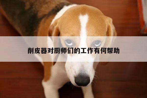 beat365_削皮器对厨师们的工作有何帮助