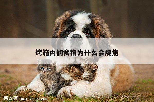 beat365平台：烤箱内的食物为什么会烧焦