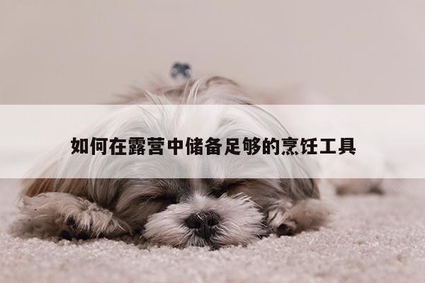 如何在露营中储备足够的烹饪工具_beat365在线体育