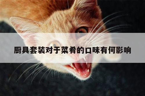 beat365平台：厨具套装对于菜肴的口味有何影响