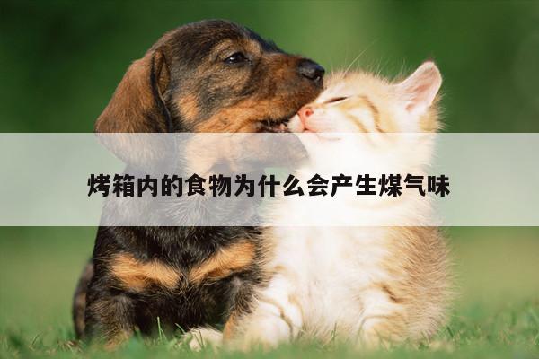 烤箱内的食物为什么会产生煤气味|beat365平台