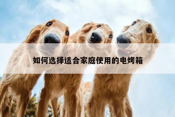 beat365在线体育-如何选择适合家庭使用的电烤箱