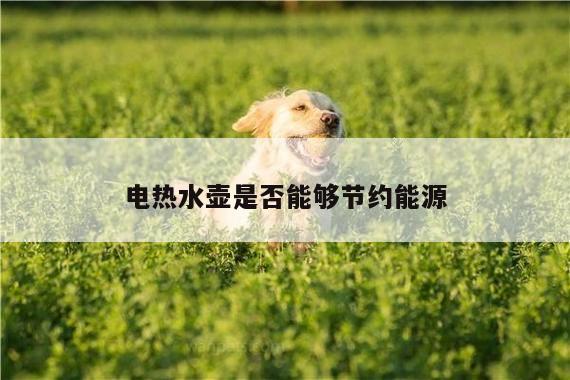 电热水壶是否能够节约能源|beat365平台