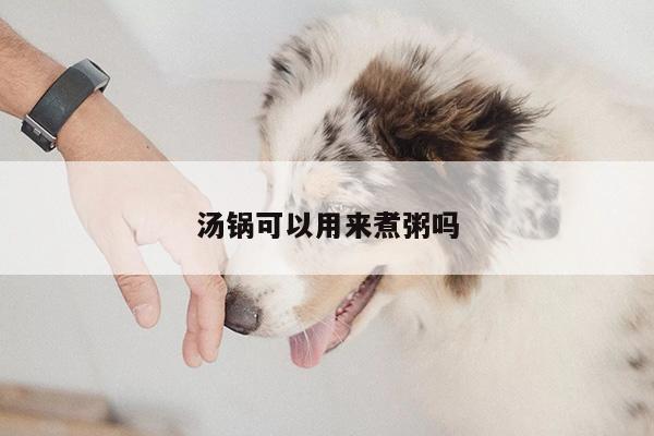 beat365|汤锅可以用来煮粥吗