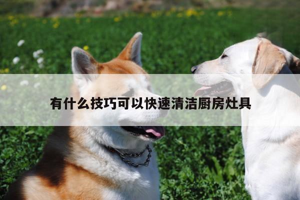 beat365|有什么技巧可以快速清洁厨房灶具