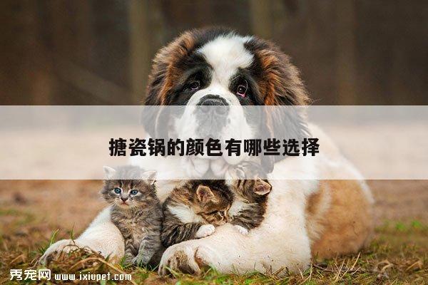 搪瓷锅的颜色有哪些选择：beat365在线体育
