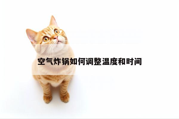 空气炸锅如何调整温度和时间【beat365】
