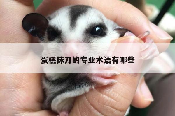 【beat365平台】蛋糕抹刀的专业术语有哪些