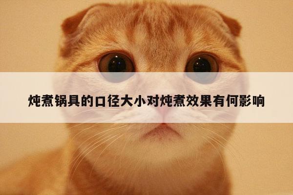 炖煮锅具的口径大小对炖煮效果有何影响_beat365官网登录