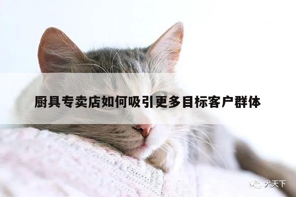 厨具专卖店如何吸引更多目标客户群体_beat365在线体育